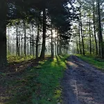 Veluwe Park Reewold Vision בקתה *