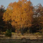 בקתה Veluwe Park Reewold Vision פוטן