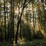 Veluwe Park Reewold Vision פוטן