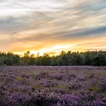 בקתה Veluwe Park Reewold Vision פוטן