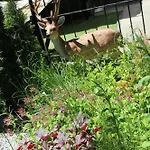 בקתה Veluwe Park Reewold Vision *