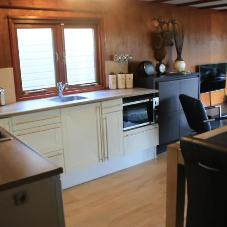 Chalet Veluwe Park Reewold Vision