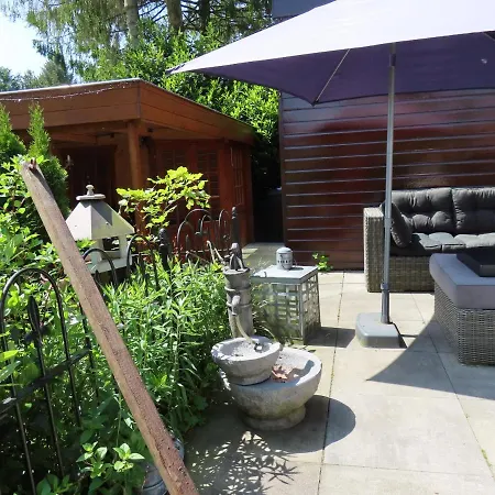 Chalet Veluwe Park Reewold Vision
