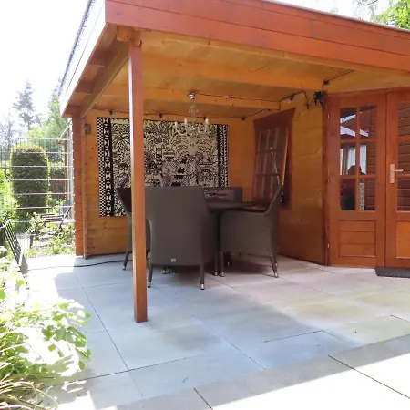 Chalet Veluwe Park Reewold Vision