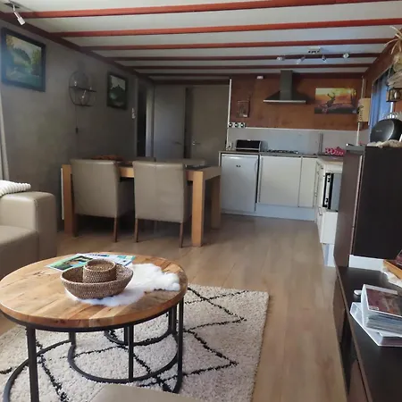 Chalet Veluwe Park Reewold Vision *