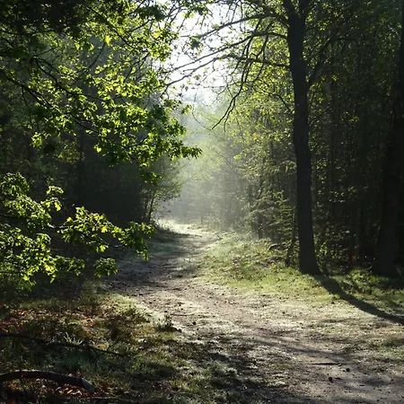 Veluwe Park Reewold Vision * Putten
