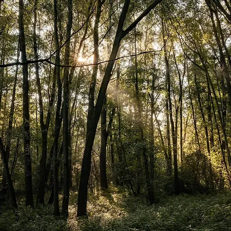 Veluwe Park Reewold Vision Putten