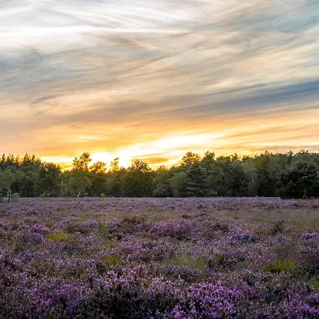 شاليه Veluwe Park Reewold Vision بوتِنْ