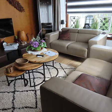 Chalet Veluwe Park Reewold Vision