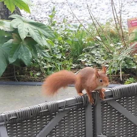 Veluwe Park Reewold Vision