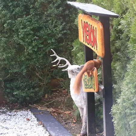 Veluwe Park Reewold Vision شاليه *