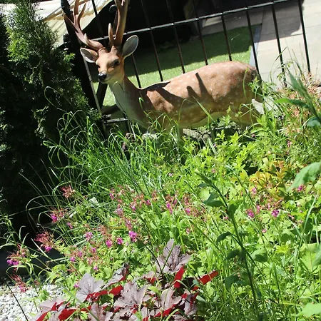 Chalet Veluwe Park Reewold Vision *