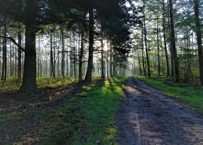 Veluwe Park Reewold Vision 木屋 *