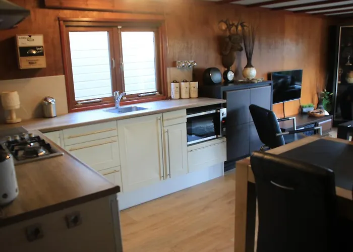 Chalet Veluwe Park Reewold Vision