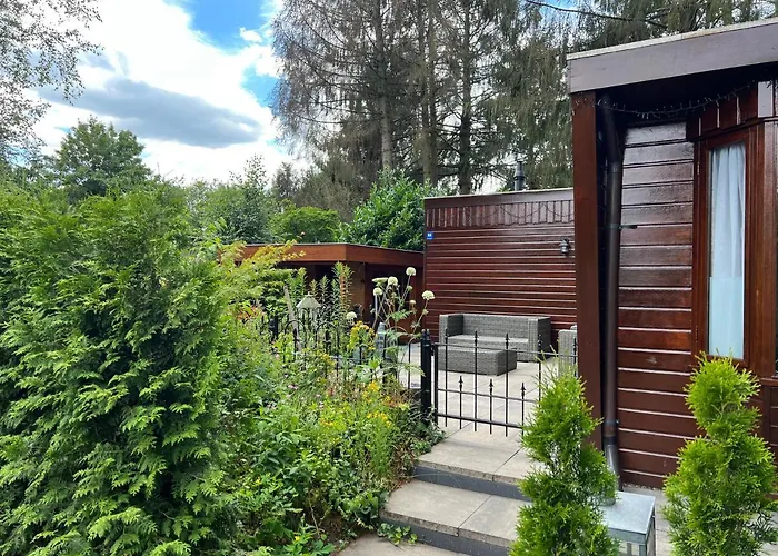 Veluwe Park Reewold Vision Putten