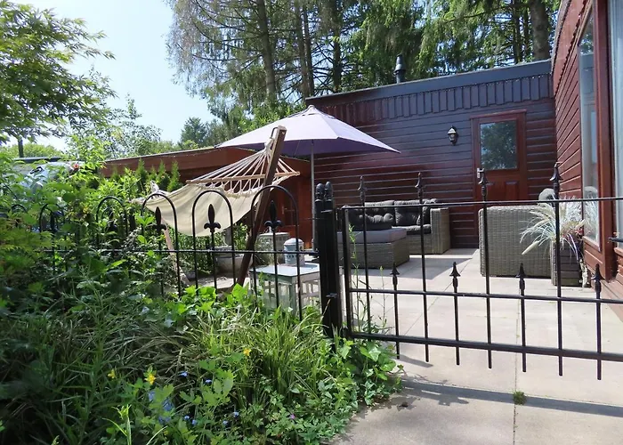 Chalet Veluwe Park Reewold Vision Putten