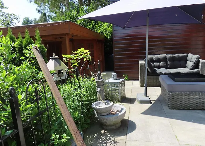 木屋 Veluwe Park Reewold Vision