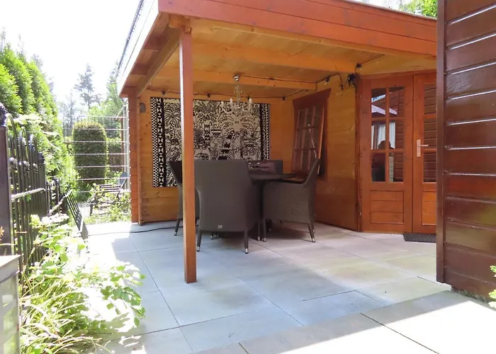 Chalet Veluwe Park Reewold Vision