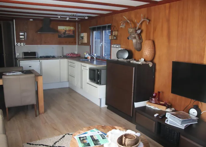 Chalet Veluwe Park Reewold Vision Putten