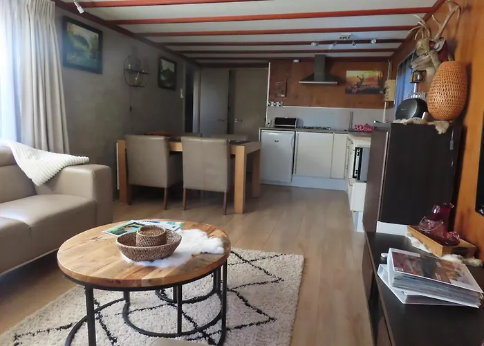 Chalet Veluwe Park Reewold Vision *