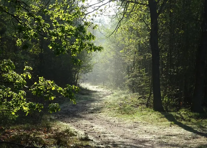 Veluwe Park Reewold Vision * 皮滕