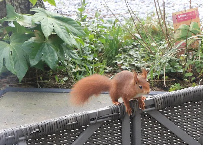 Veluwe Park Reewold Vision