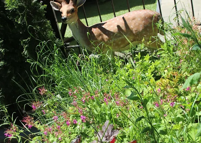 Chalet Veluwe Park Reewold Vision *