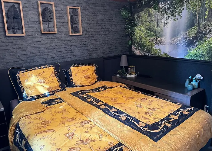 木屋 Veluwe Park Reewold Vision