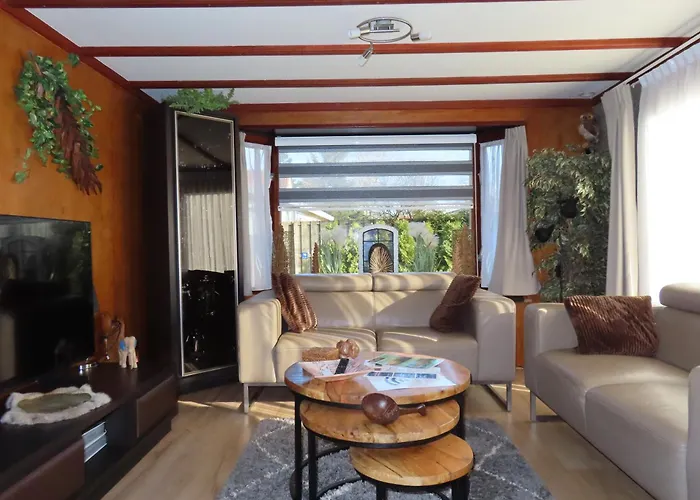 Chalet Veluwe Park Reewold Vision