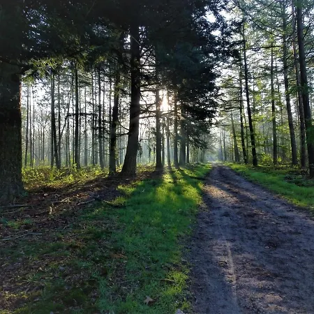 Veluwe Park Reewold Vision Alpstuga *