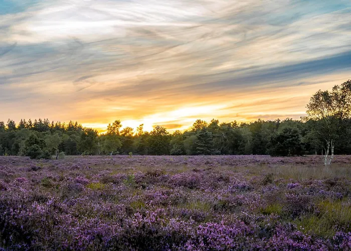 Σαλέ Veluwe Park Reewold Vision Putten