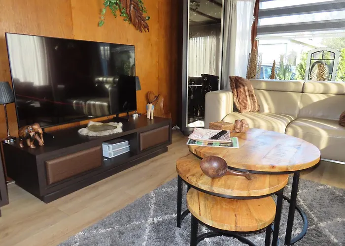 Σαλέ Veluwe Park Reewold Vision *